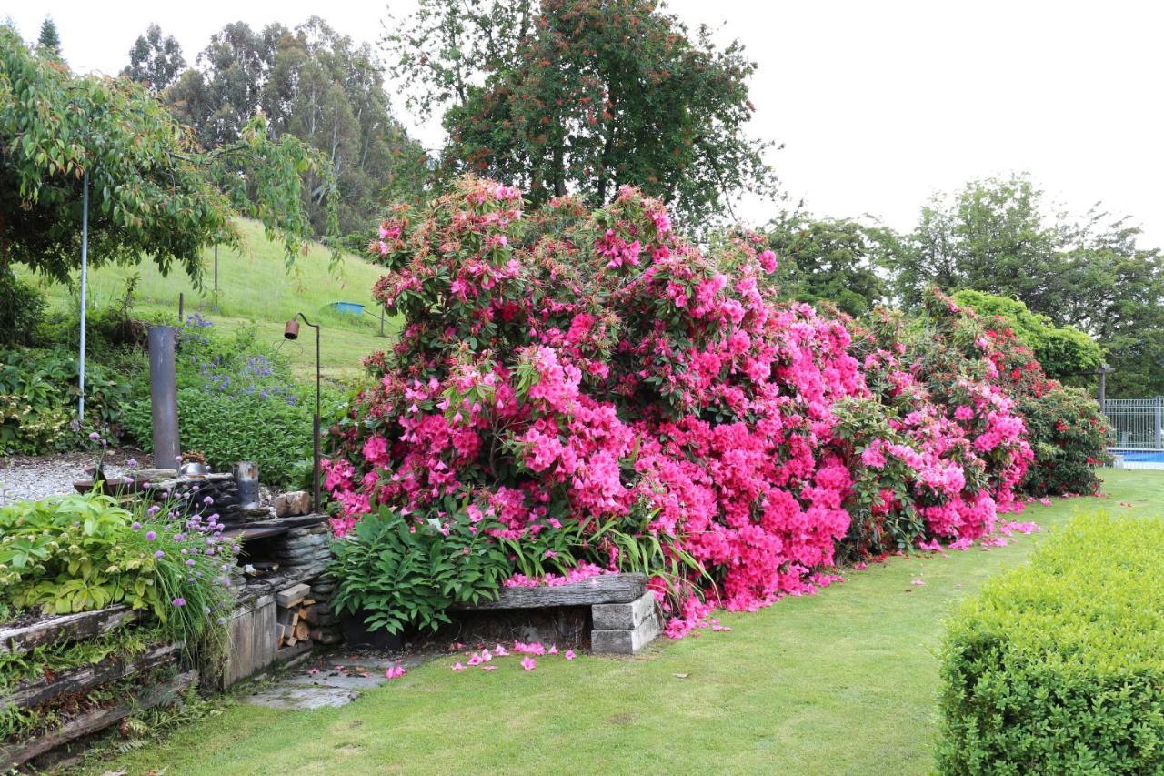Mountain View Lodge Queenstown Bagian luar foto